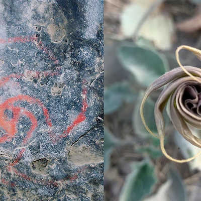 Nuove scoperte confermano un uso degli allucinogeni tra gli Indiani in America